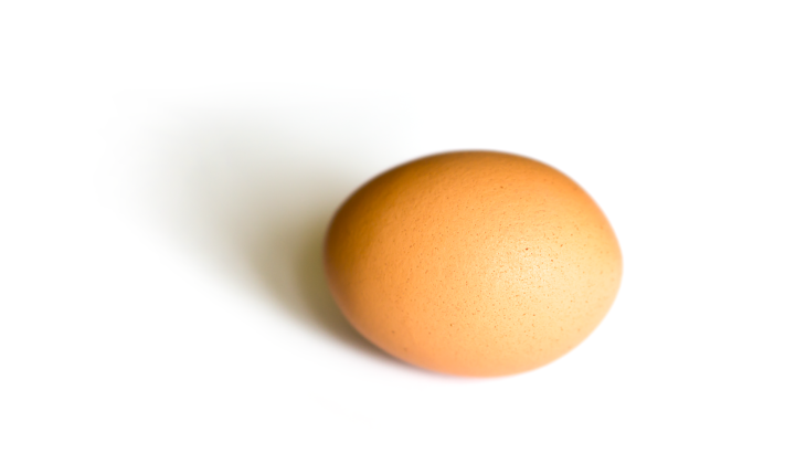 【検証】卵の殻を簡単に取り出す裏技