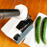 きゅうりの細胞を顕微鏡で見た ～農薬野菜と無農薬野菜の細胞を比較～